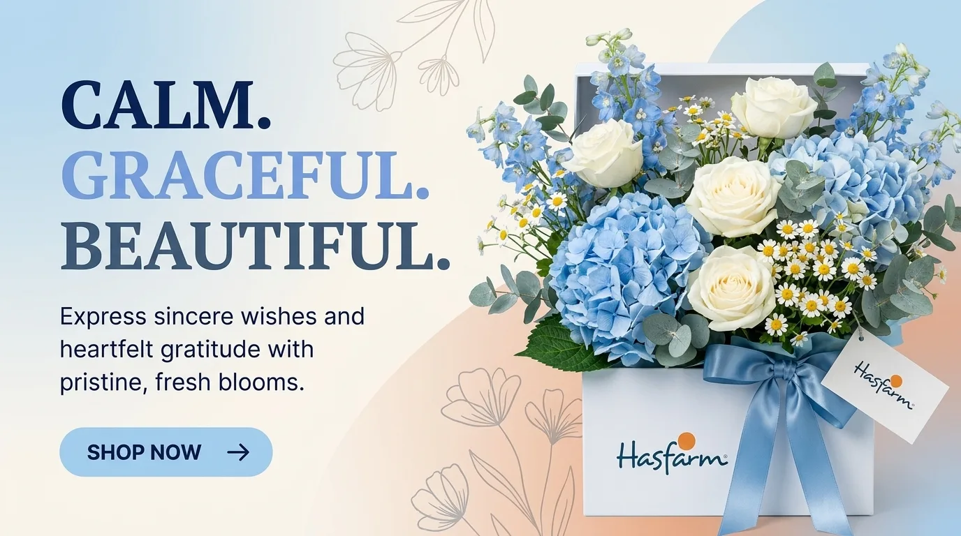 Nhanh Flower - Calm Graceful Beautiful Blue Hydrangeas