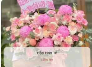 Hoa Cao Cấp
